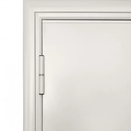 ДорХан Дверь DoorHan/880/2050/Противопож.EI60/одност./глухая/глад./глад./RAL7035/прав./угл. рама, DPG60/880/2050/7035/R/N